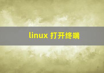 linux 打开终端